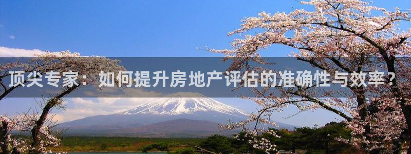和帆记官网：顶尖专家：如何提升房地产评估的准确性与效率？