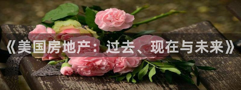 和记彩官网：《美国房地产：过去、现在与未来》