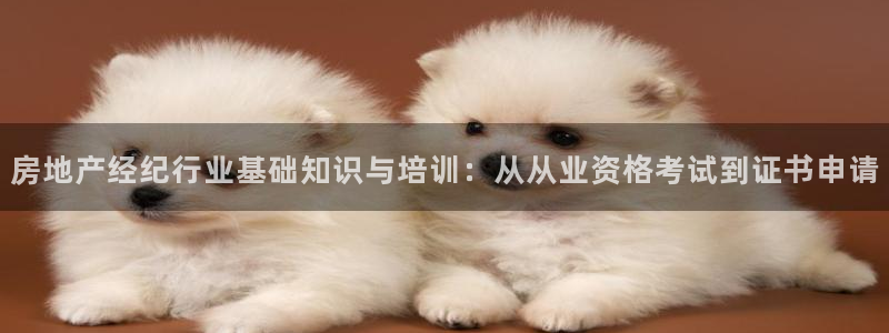 hgc和记官网：房地产经纪行业基础知识与培训：从从业资格考试
