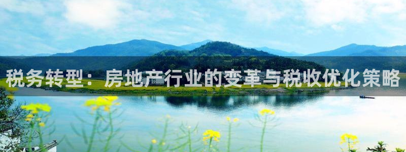 和记官网 (中国区)官方网站：税务转型：房地产行业的变革与税
