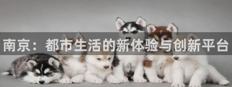 和记怡情官网入口：南京：都市生活的新体验与创新平台