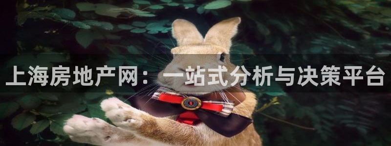 和记洋行官网：上海房地产网：一站式分析与决策平台