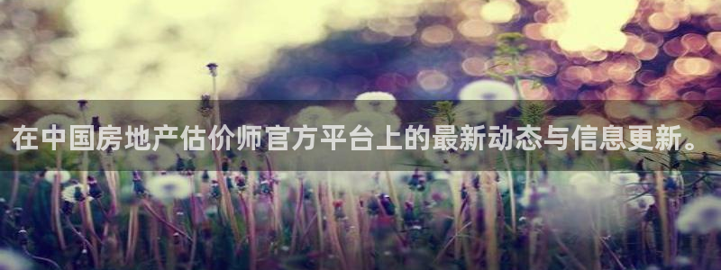 和记 官网：在中国房地产估价师官方平台上的最新动态与信息更新