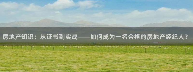 和记餐厅官网：房地产知识：从证书到实战——如何成为一名合格的