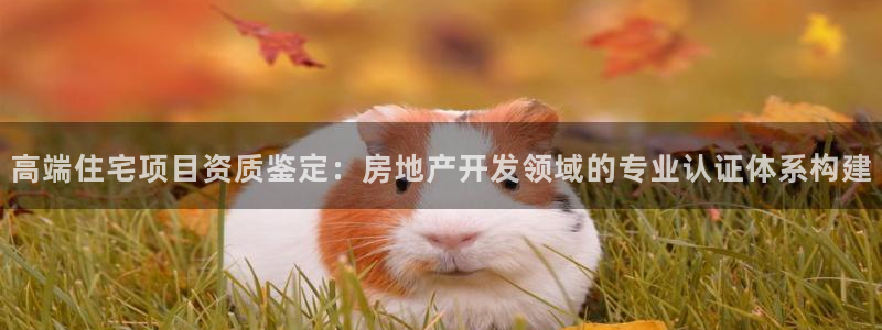 武汉和记黄埔官网：高端住宅项目资质鉴定：房地产开发领域的专业
