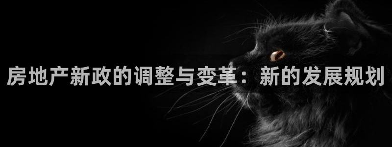香港和记3电讯官网：房地产新政的调整与变革：新的发展规划