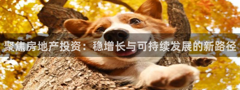 下载和记官网：聚焦房地产投资：稳增长与可持续发展的新路径