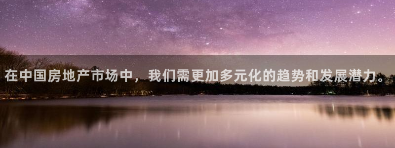 和记港口官网：在中国房地产市场中，我们需更加多元化的趋势和发