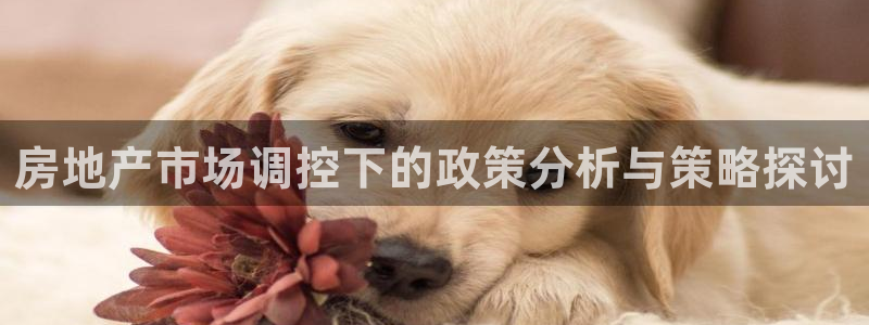 和记官网：房地产市场调控下的政策分析与策略探讨