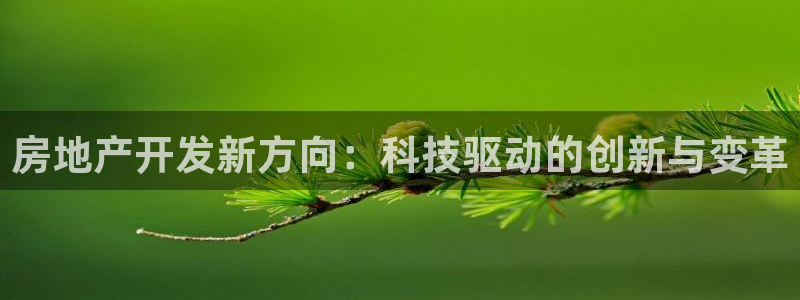 和记黄埔武汉官网：房地产开发新方向：科技驱动的创新与变革