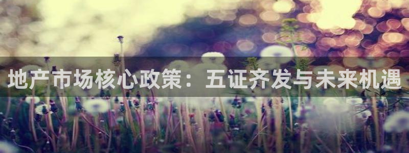 和记手机官网：地产市场核心政策：五证齐发与未来机遇