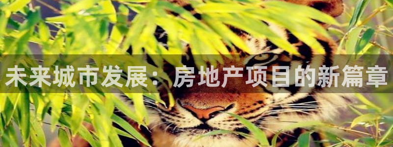 和记娱要多少钱h88285官网：未来城市发展：房地产项目的新