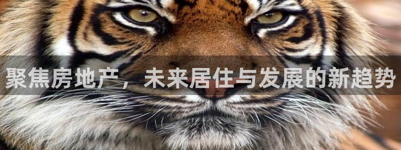 澳门和记电讯官网：聚焦房地产，未来居住与发展的新趋势