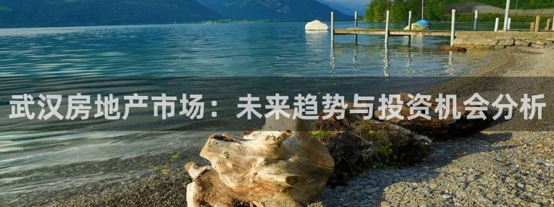 和记官网平台：武汉房地产市场：未来趋势与投资机会分析