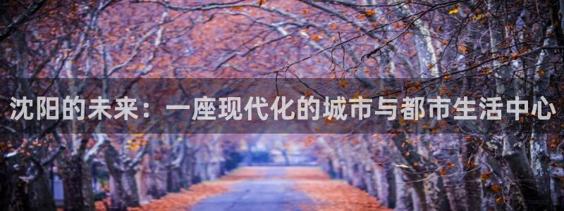 和记3hk官网：沈阳的未来：一座现代化的城市与都市生活中心