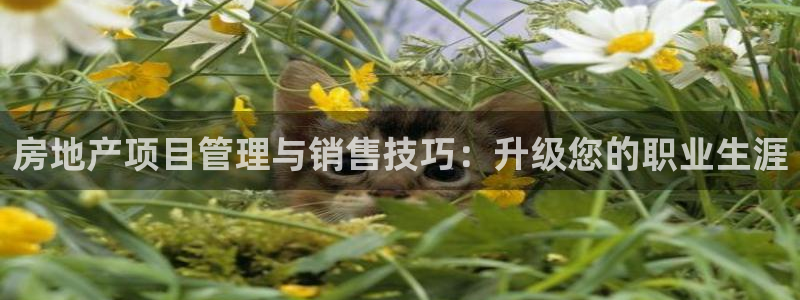 和记娱乐h8官网：房地产项目管理与销售技巧：升级您的职业生涯