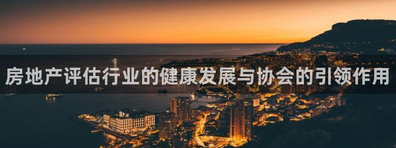 胡和记面官网：房地产评估行业的健康发展与协会的引领作用