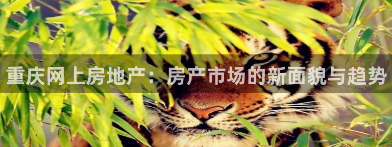 和记黄埔中药公司官网：重庆网上房地产：房产市场的新面貌与趋势