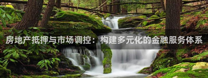 和记黄埔武汉官网：房地产抵押与市场调控：构建多元化的金融服务