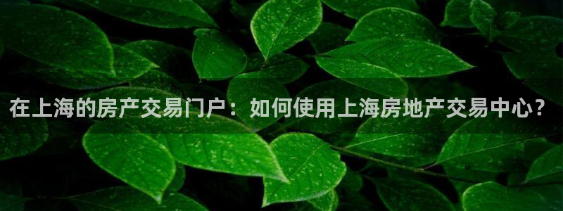胡和记面官网：在上海的房产交易门户：如何使用上海房地产交易中