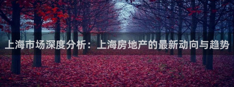 长江和记有限公司官网：上海市场深度分析：上海房地产的最新动向