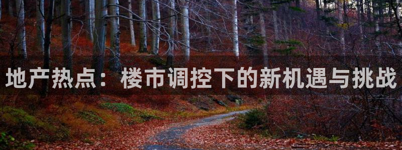 和记旗舰官网：地产热点：楼市调控下的新机遇与挑战