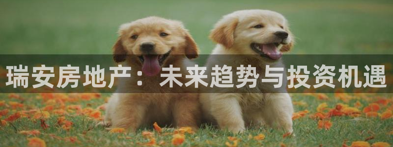 和黄记官网：瑞安房地产：未来趋势与投资机遇