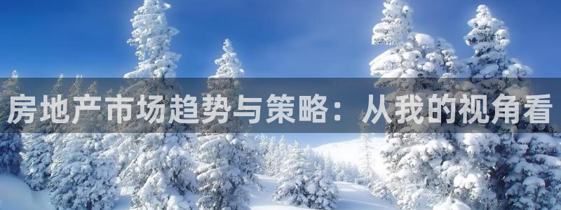 和记怡情官网电话：房地产市场趋势与策略：从我的视角看