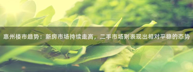 和记娱真心推荐h88285官网：惠州楼市趋势：新房市场持续走