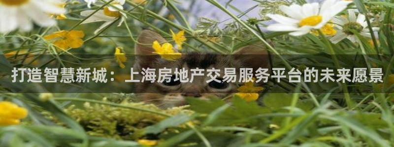 和记电官网：打造智慧新城：上海房地产交易服务平台的未来愿景