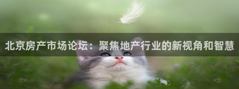 和记app官网：北京房产市场论坛：聚焦地产行业的新视角和智慧