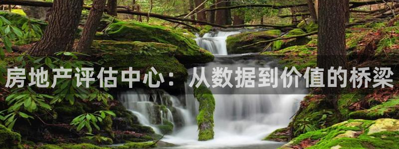 官网和记通讯：房地产评估中心：从数据到价值的桥梁