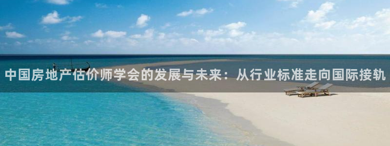 和记卡官网：中国房地产估价师学会的发展与未来：从行业标准走向