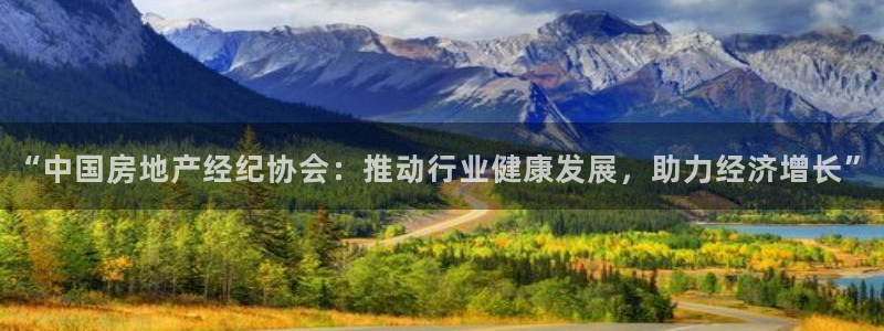 和记万佳官网：“中国房地产经纪协会：推动行业健康发展，助力经