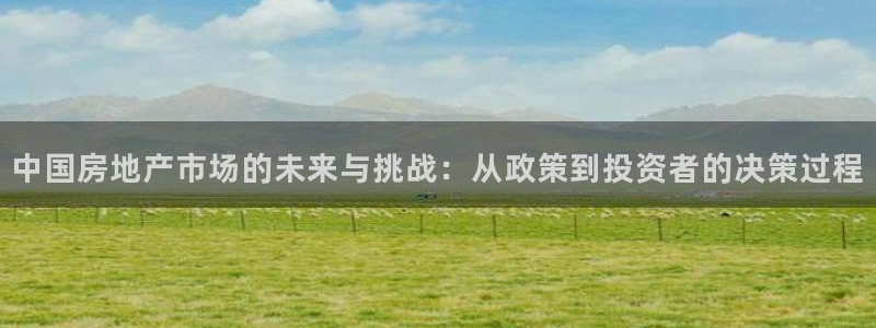 和记黄埔m 官网：中国房地产市场的未来与挑战：从政策到投资者