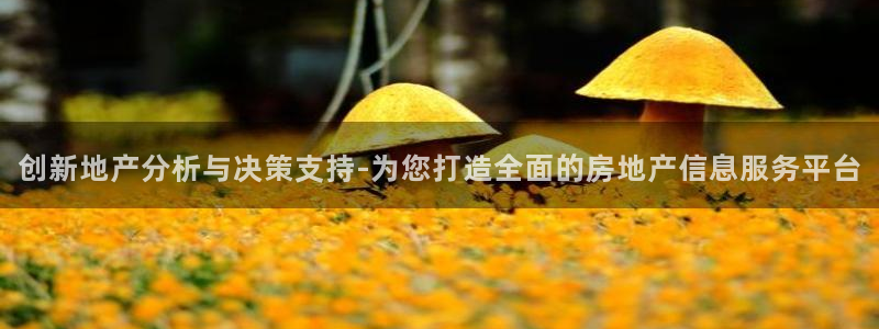 和记手机客户端官网：创新地产分析与决策支持-为您打造全面的房