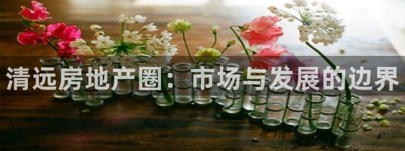 香港和记3hk官网：清远房地产圈：市场与发展的边界