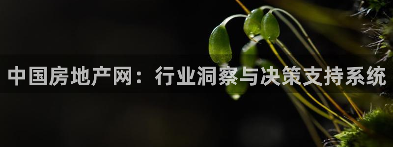 和记3官网：中国房地产网：行业洞察与决策支持系统