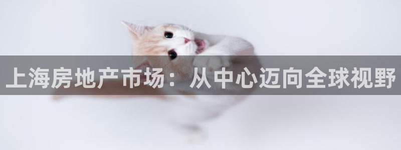 香港和记电信官网：上海房地产市场：从中心迈向全球视野
