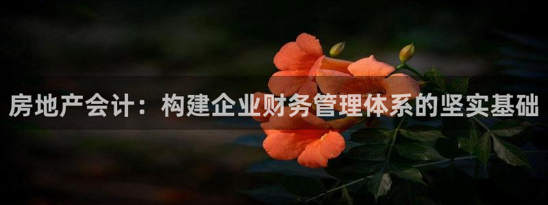 和记娱乐首页官网：房地产会计：构建企业财务管理体系的坚实基础