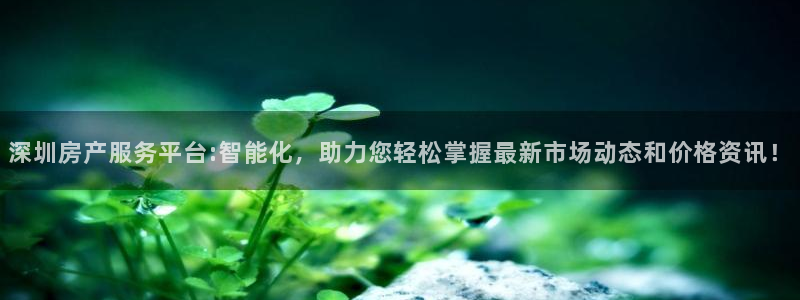 h88和记官网：深圳房产服务平台:智能化，助力您轻松掌握最新