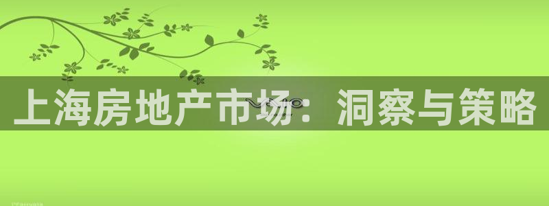 和记3官网：上海房地产市场：洞察与策略