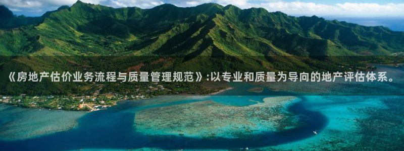 和记黄埔官网攻略：《房地产估价业务流程与质量管理规范》:以专