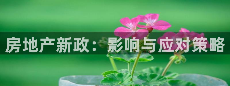 和记娱官网h88285怡情：房地产新政：影响与应对策略