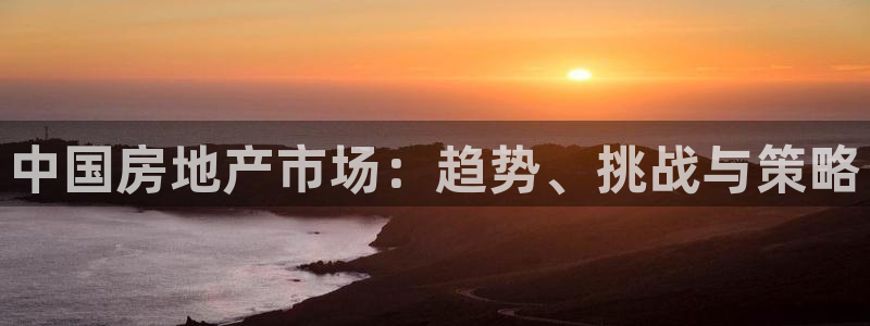 香港和记3hk官网：中国房地产市场：趋势、挑战与策略