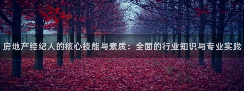 和记娱乐网官网：房地产经纪人的核心技能与素质：全面的行业知识