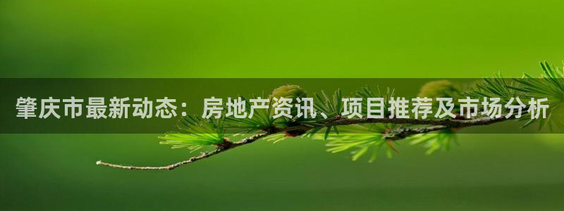 三宇和记官网：肇庆市最新动态：房地产资讯、项目推荐及市场分析