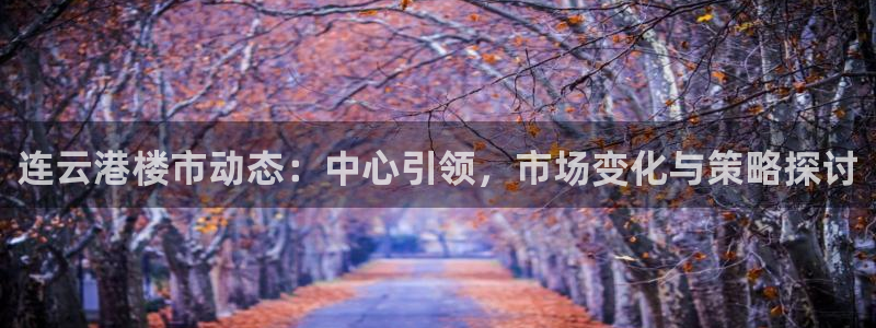 和记港口官网：连云港楼市动态：中心引领，市场变化与策略探讨