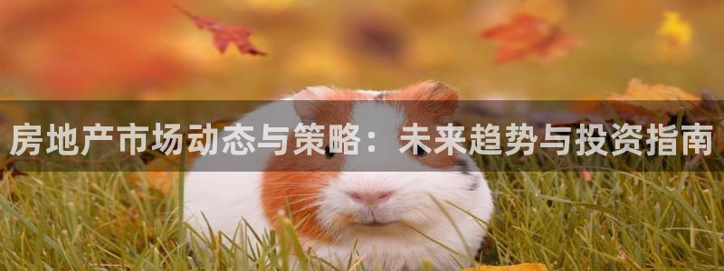 和记娱乐首页官网：房地产市场动态与策略：未来趋势与投资指南