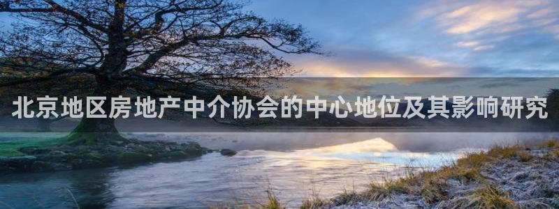 和记h88game官网：北京地区房地产中介协会的中心地位及其